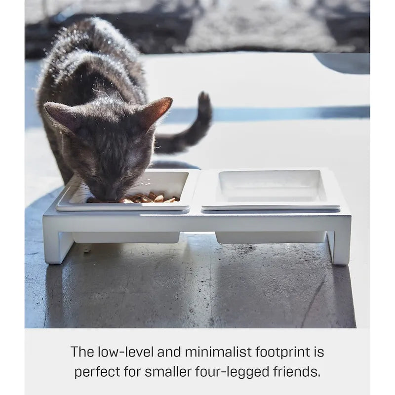 Yamazaki Home Pet Food Bowls - Two Styles, Steel and Ceramic, Short, 1.25 cups, 300 milliliters per bowl