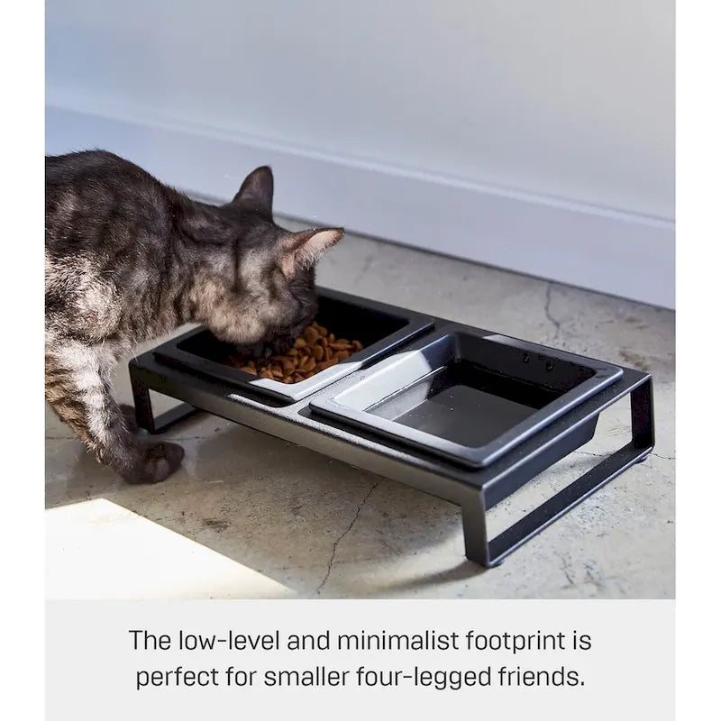 Yamazaki Home Pet Food Bowls - Two Styles, Steel and Ceramic, Short, 1.25 cups, 300 milliliters per bowl